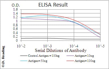 Mouse Monoclonal Antibody to PLCG2