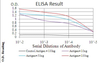 Mouse Monoclonal Antibody to PDPK1