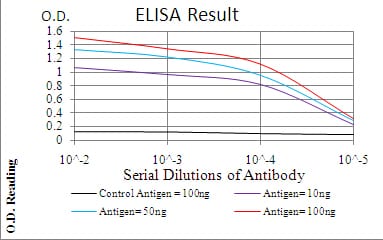 Mouse Monoclonal Antibody to TERT