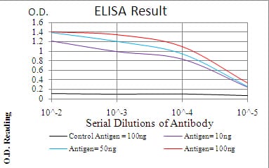 Mouse Monoclonal Antibody to TERT