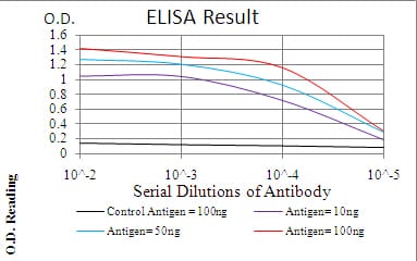 Mouse Monoclonal Antibody to ERBB4