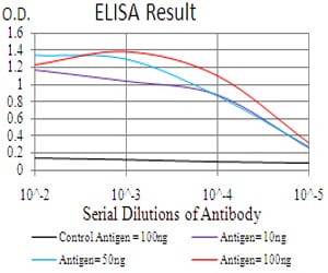 Mouse Monoclonal Antibody to RAB11FIP1