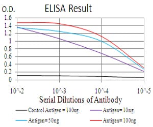 Mouse Monoclonal Antibody to ERCC1