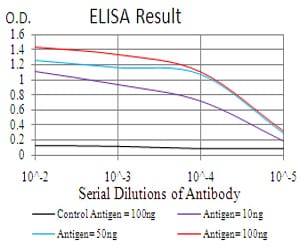 Mouse Monoclonal Antibody to HDAC2