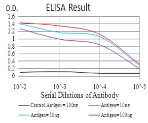 Mouse Monoclonal Antibody to HDAC2