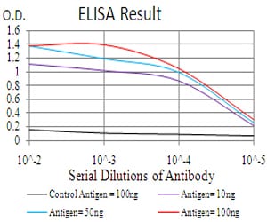 Mouse Monoclonal Antibody to RAD18