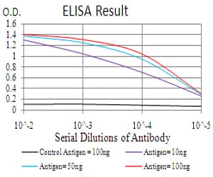 Mouse Monoclonal Antibody to Rab13
