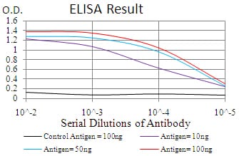 Mouse Monoclonal Antibody to MGMT