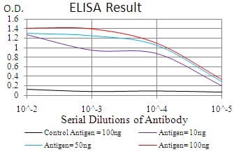 Mouse Monoclonal Antibody to RND3