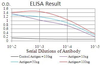 Mouse Monoclonal Antibody to RND3