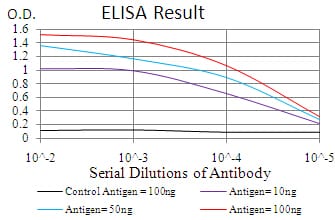 Mouse Monoclonal Antibody to TTR