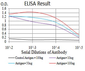 Mouse Monoclonal Antibody to GAD2