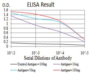 Mouse Monoclonal Antibody to GAD2