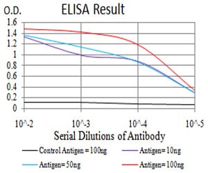 Mouse Monoclonal Antibody to Rab13
