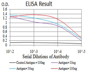 Mouse Monoclonal Antibody to PAX6