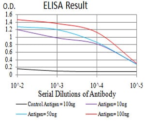 Mouse Monoclonal Antibody to ATG16L1