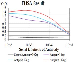 Mouse Monoclonal Antibody to ATG16L1