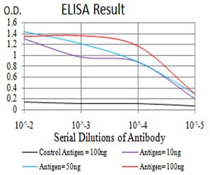 Mouse Monoclonal Antibody to SIRT4