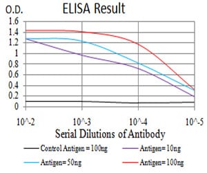 Mouse Monoclonal Antibody to LRP1