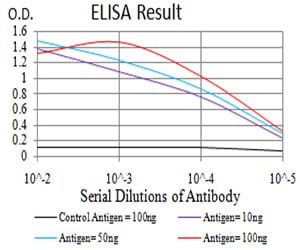 Mouse Monoclonal Antibody to Rab8