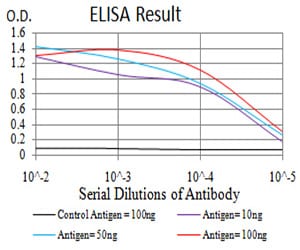 Mouse Monoclonal Antibody to DNMT3B