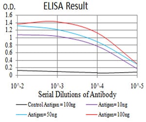 Mouse Monoclonal Antibody to SIRT6