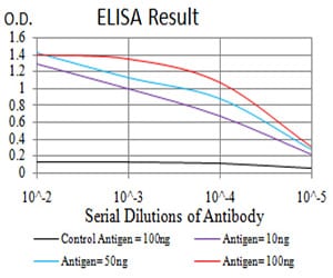 Mouse Monoclonal Antibody to RAD18
