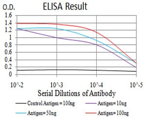 Mouse Monoclonal Antibody to PMS2