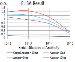 Mouse Monoclonal Antibody to SIRT7