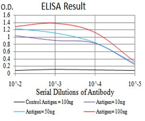 Mouse Monoclonal Antibody to DDX39B