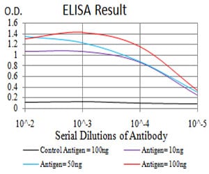 Mouse Monoclonal Antibody to DDX39B