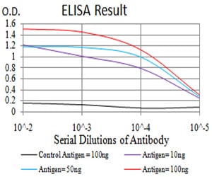 Mouse Monoclonal Antibody to MMP14