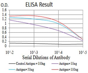 Mouse Monoclonal Antibody to Rab3a