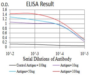 Mouse Monoclonal Antibody to HDAC4