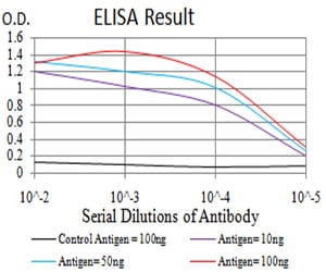 Mouse Monoclonal Antibody to HDAC4