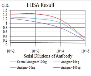 Mouse Monoclonal Antibody to PRDM1