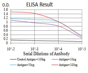 Mouse Monoclonal Antibody to BMP7