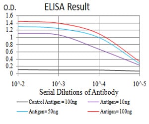 Mouse Monoclonal Antibody to LGR5