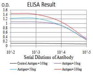 Mouse Monoclonal Antibody to LGR5