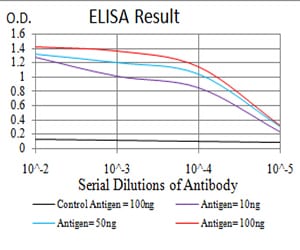 Mouse Monoclonal Antibody to CBX2