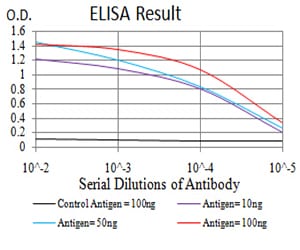 Mouse Monoclonal Antibody to HIST2H4A(20Me)