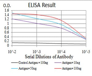 Mouse Monoclonal Antibody to SK2
