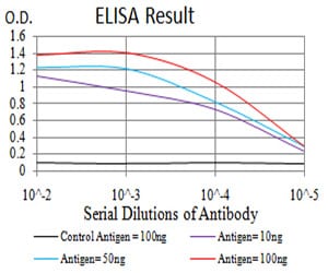 Mouse Monoclonal Antibody to SK2