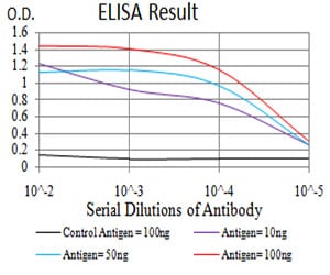 Mouse Monoclonal Antibody to CK5