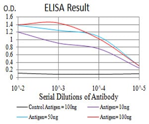 Mouse Monoclonal Antibody to SIRT4