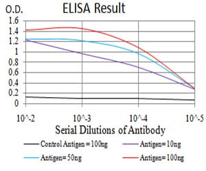 Mouse Monoclonal Antibody to SIRT6