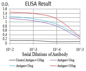 Mouse Monoclonal Antibody to DDX20