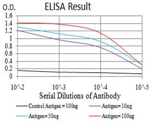 Mouse Monoclonal Antibody to HIST2H3C(27Ac)