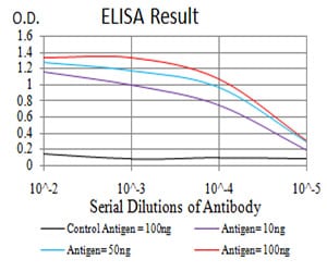 Mouse Monoclonal Antibody to Notch3
