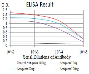 Mouse Monoclonal Antibody to MECP2